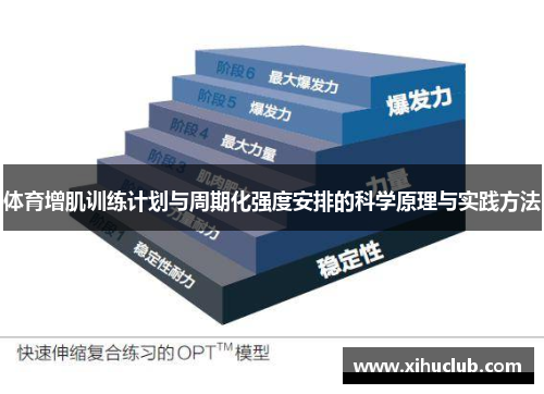 体育增肌训练计划与周期化强度安排的科学原理与实践方法